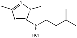 1,3-dimethyl-N-(3-methylbutyl)-1H-pyrazol-5-amine 结构式