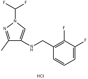 N-(2,3-difluorobenzyl)-1-(difluoromethyl)-3-methyl-1H-pyrazol-4-amine 结构式