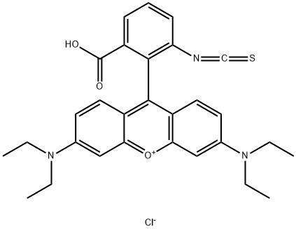 Rhodamine B isothiocyanate mixed isomers Struktur