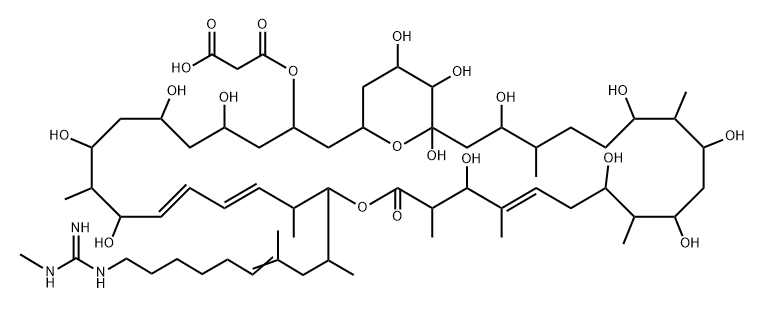 Propanedioic acid, 1-[5,7,9,11,21,25,27,29,31,35,37,38,39-tridecahydroxy-17-[9-[[imino(methylamino)methyl]amino]-1,3-dimethyl-3-nonen-1-yl]-10,16,20,22,26,30,34-heptamethyl-19-oxo-18,41-dioxabicyclo[35.3.1]hentetraconta-12,14,22-trien-3-yl] ester, (+)- Structure