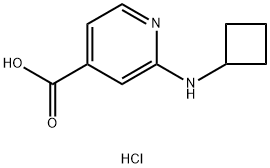 2-(Cyclobutylamino)isonicotinic acid hydrochloride Structure