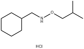 (cyclohexylmethyl)(2-methylpropoxy)amine hydrochloride Structure