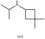 3,3-dimethyl-N-(propan-2-yl)cyclobutan-1-amine hydrochloride Structure