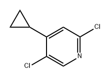 2,5-dichloro-4-cyclopropylpyridine 结构式