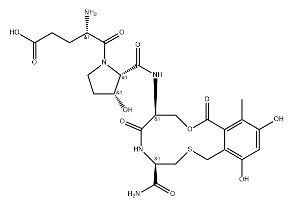 L-Cysteinamide, L-α-glutamyl-(3R)-3-hydroxy-L-prolyl-O-[3,5-dihydroxy-2-(mercaptomethyl)-6-methylbenzoyl]-L-seryl-, cyclic (3→4)-thioether (9CI)|环硫里啶 E
