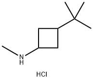 3-tert-butyl-N-methylcyclobutan-1-amine hydrochloride Structure