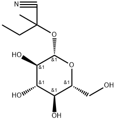 (2RS)-ロタウストラリン 化学構造式