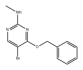 5-溴-4-苄氧基-2-甲胺基嘧啶, 205672-28-2, 结构式