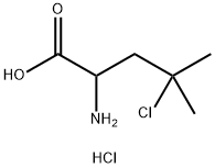 2-amino-4-chloro-4-methylpentanoic acid hydrochloride Structure