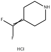 4-(difluoromethylidene)piperidine hydrochloride Structure