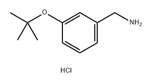 3-(叔-丁氧基)苯基]甲胺盐酸 结构式