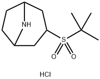 3-(2-甲基丙烷-2-磺酰基)-8-氮杂双环[3.2.1]辛烷盐酸盐, 2097896-99-4, 结构式