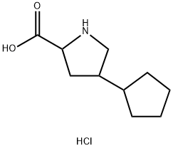 4-cyclopentylpyrrolidine-2-carboxylic acid hydrochloride Structure