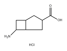 6-aminobicyclo[3.2.0]heptane-3-carboxylic acid hydrochloride Struktur