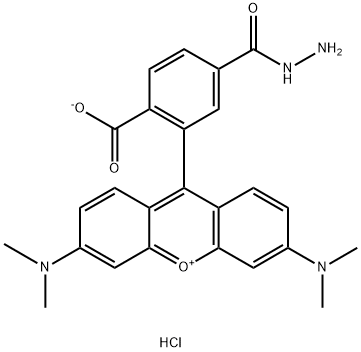 TAMRA hydrazide, 6-isomer Structure