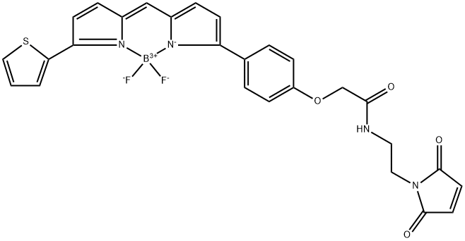 BDP TR maleimide Structure