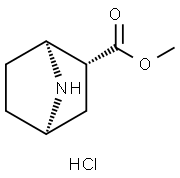 METHYL 7-AZABICYCLO[2.2.1]HEPTANE-2-CARBOXYLATE HYDROCHLORIDE 结构式