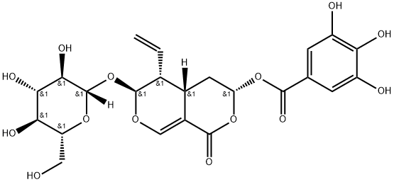 7β-Galloyloxysweroside Struktur