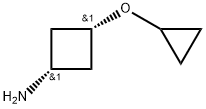 cis-3-Cyclopropoxy-cyclobutylamine 结构式