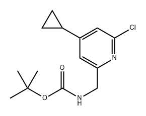 tert-butyl N-[(6-chloro-4-cyclopropyl-2-pyridyl)methyl]carbamate 结构式