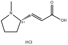 2-Propenoic acid, 3-[(2S)-1-methyl-2-pyrrolidinyl]-, hydrochloride (1:1), (2E)- Struktur