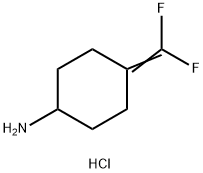 4-(二氟亚甲基)环己烷-1-胺盐酸盐,2253632-71-0,结构式
