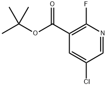 5-氯-2-氟烟酸叔丁酯, 2279872-05-6, 结构式