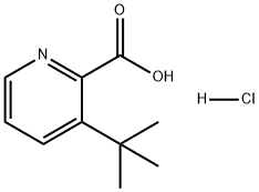 3-(tert-Butyl)picolinic acid (hydrochloride)|3-(叔丁基)吡啶甲酸(盐酸盐)