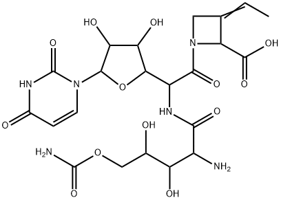 (2S,E)-1-[5-[(2-Amino-5-O-aminocarbonyl-2-deoxy-L-xylonoyl)amino]-1,5-dideoxy-1-(1,2,3,4-tetrahydro-2,4-dioxopyrimidin-1-yl)-β-D-allofuranulonoyl]-3-ethylidene-2-azetidinecarboxylic acid Struktur