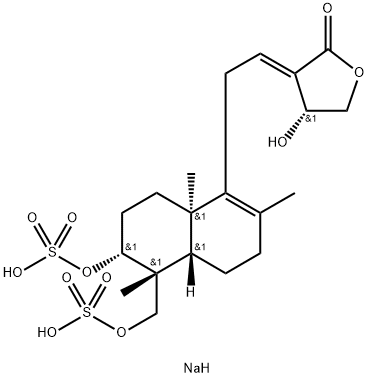 INDEX NAME NOT YET ASSIGNED Structure