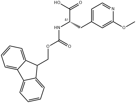 INDEX NAME NOT YET ASSIGNED Structure