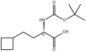 Cyclobutanebutanoic acid, α-[[(1,1-dimethylethoxy)carbonyl]amino]-, (αS)- Structure