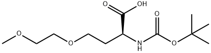 N-[(1,1-Dimethylethoxy)carbonyl]-O-(2-methoxyethyl)-L-homoserine Struktur