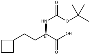 Boc-(S)-2-amino-4-cyclobutylbutanoic acid hydrochloride 结构式