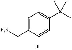 Benzenemethanamine, 4-(1,1-dimethylethyl)-, hydriodide,2366873-27-8,结构式