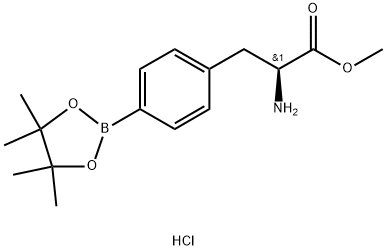 Methyl (2S)-2-amino-3-[4-(tetramethyl-1,3,2-dioxaborolan-2-yl)phenyl]propanoate hydrochloride Structure