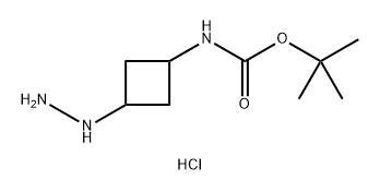 tert-Butyl (3-hydrazinylcyclobutyl)carbamate hydrochloride Struktur