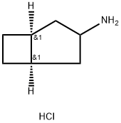 Bicyclo[3.2.0]heptan-3-amine, hydrochloride (1:1), (1α,5α)- Struktur