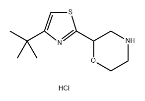 2-(4-叔丁基-1,3-噻唑-2-基)吗啉 二盐酸盐, 2411262-70-7, 结构式