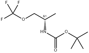 INDEX NAME NOT YET ASSIGNED Struktur