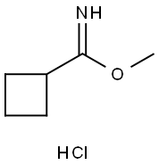 Cyclobutanecarboximidic acid, methyl ester, hydrochloride (1:1),2521488-48-0,结构式