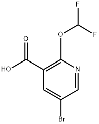 5-Bromo-2-(difluoromethoxy)nicotinic acid 化学構造式