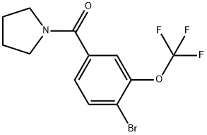 4-Bromo-3-(trifluoromethoxy)phenyl]-1-pyrrolidinylmethanone Structure