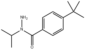 4-(叔丁基)-N-异丙基苯甲酰肼 结构式
