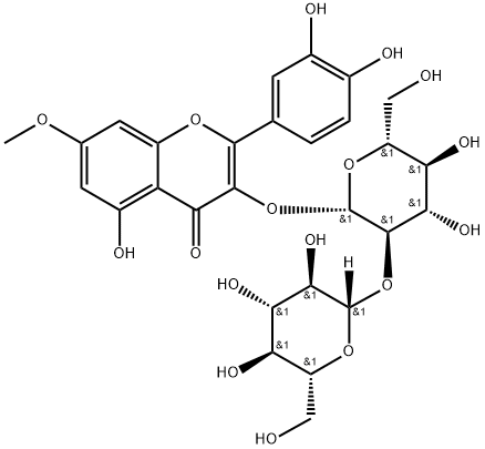 Rhamnetin 3-sophoroside price.