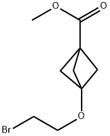 3-(2-Bromo-ethoxy)-bicyclo[1.1.1]pentane-1-carboxylic acid methyl ester,2647865-74-3,结构式