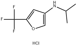 N-isopropyl-5-(trifluoromethyl)furan-3-amine hydrochloride|