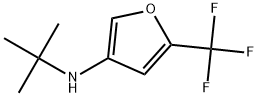 2648808-95-9 N-(tert-butyl)-5-(trifluoromethyl)furan-3-amine