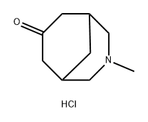 3-methyl-3-azabicyclo[3.3.1]nonan-7-one hydrochloride 化学構造式