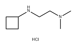 N-[2-(dimethylamino)ethyl]cyclobutanamine dihydrochloride Struktur